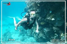 sea-trips